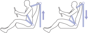 seatbelt